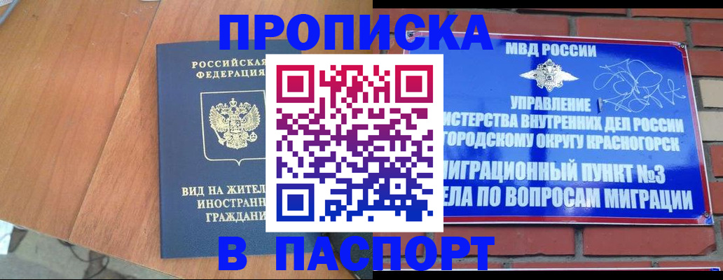найти адрес прописки в Михайловке